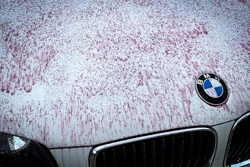 BMW Chemical Decontamination