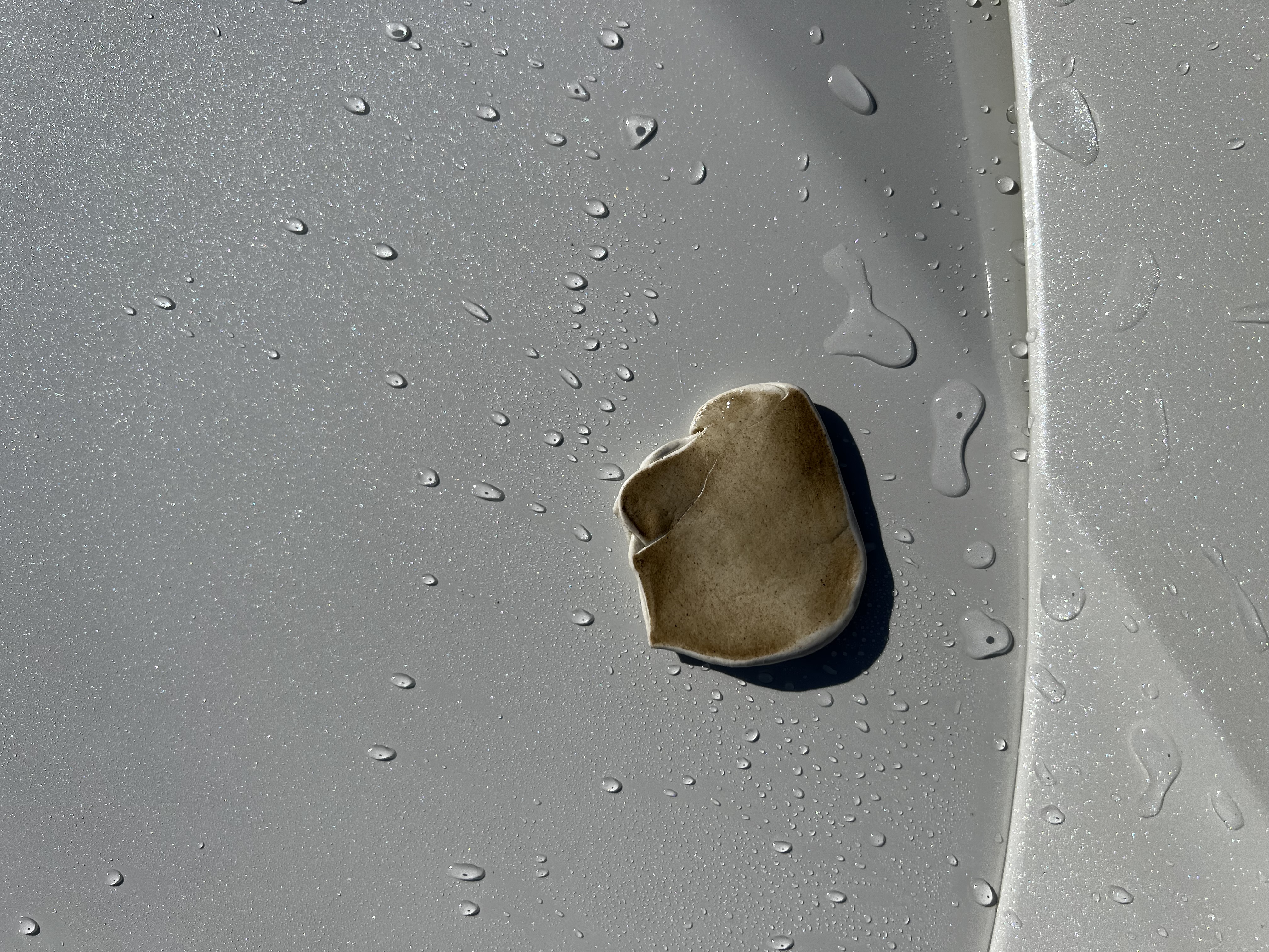 Clay Bar Exfoliation Detailing Process